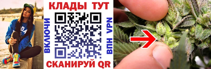 Купить закладку Альфа ПВП  ТГК  Метадон  ГАШИШ  Меф мяу мяу  КОКАИН  Приморск