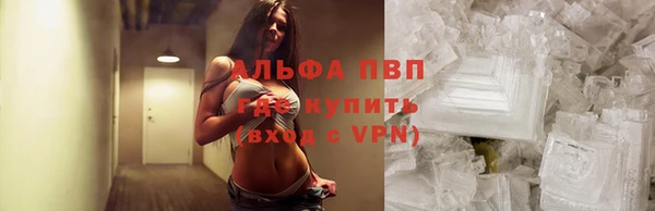 прущие крисы Тавда