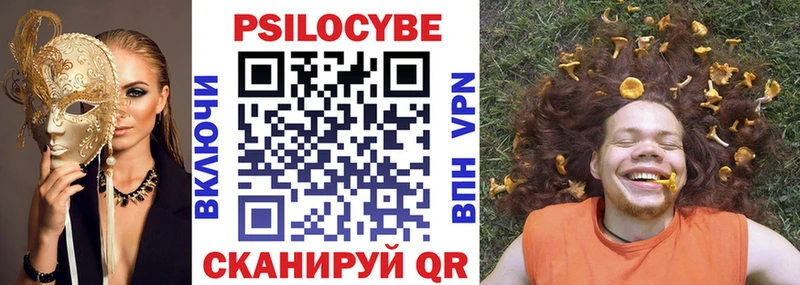 Купить  Приморск  Псилоцибиновые грибы Magic Shrooms 